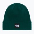 Wintermütze The North Face Dock Worker Recycled Beanie hunter green