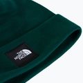Wintermütze The North Face Dock Worker Recycled Beanie hunter green 2