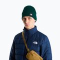 Wintermütze The North Face Dock Worker Recycled Beanie hunter green 3