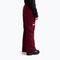 Kinder-Skihose The North Face Freedom Insulated burgundy crush 3