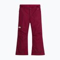 Kinder-Skihose The North Face Freedom Insulated burgundy crush 4