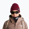 Wintermütze The North Face Dock Worker Recycled Beanie burgundy crush 3