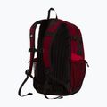 Cityrucksack The North Face Hot Shot Se 30 l burgundy crush/lali gur 3