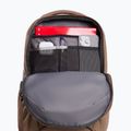 Cityrucksack The North Face Jester 22 l garnet/endless 3