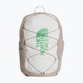 Cityrucksack The North Face Court Jester cumulus cloud/stone slab/dimmed algae