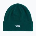 Wintermütze The North Face Norm Beanie hunter green