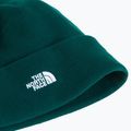 Wintermütze The North Face Norm Beanie hunter green 2
