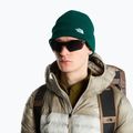 Wintermütze The North Face Norm Beanie hunter green 3