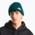 Wintermütze The North Face Salty Lined pacific teal 3