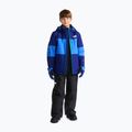 Kinder-Skihose The North Face Freedom Insulated Bib tnf black 4