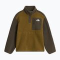 Kinder Fleecejacke The North Face Yumiori 1/4 Zip caraway seed/ne