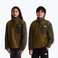 Kinder Fleecejacke The North Face Yumiori 1/4 Zip caraway seed/ne 3