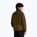 Kinder Fleecejacke The North Face Yumiori 1/4 Zip caraway seed/ne 5