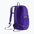Cityrucksack The North Face Court Jester elevation purple 3