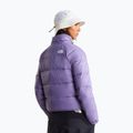 Damen-Daunenjacke The North Face Hydrenalite Down grounded plum 3