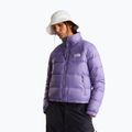 Damen-Daunenjacke The North Face Hydrenalite Down grounded plum 4