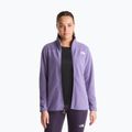Fleecejacke für Herren The North Face Glacier Fleece grounded plum 4