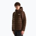 Gefütterte Herrenjacke The North Face Aconcalgia Hooded dark chestnut 4