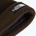 Wintermütze The North Face Salty Lined dark chestnut 2