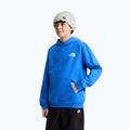 Kinder-Sweatshirt The North Face Evolution Box NSE Pullover Hoodies active blue 5