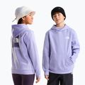 Kinder-Sweatshirt The North Face Evolution Box NSE Pullover Hoodies pale plum