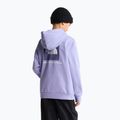Kinder-Sweatshirt The North Face Evolution Box NSE Pullover Hoodies pale plum 5