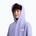 Kinder-Sweatshirt The North Face Evolution Box NSE Pullover Hoodies pale plum 6