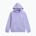 Kinder-Sweatshirt The North Face Evolution Box NSE Pullover Hoodies pale plum 7