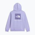 Kinder-Sweatshirt The North Face Evolution Box NSE Pullover Hoodies pale plum 8