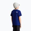 Kinder-Shirt The North Face Evolution Half Dome SS Tee bold blue 5