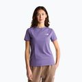 Damen-T-Shirt The North Face Evolution Simple Dome Slim SS grounded plum
