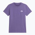 Damen-T-Shirt The North Face Evolution Simple Dome Slim SS grounded plum 4
