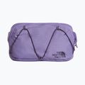 Bauchtasche The North Face Terra Lumbar 1 l grounded plum/endless
