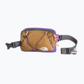 Bauchtasche The North Face Terra Lumbar 1 l utility brown/peak purple