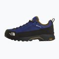 Herren Approach-Schuhe The North Face Verto Alpine GTX bold blue/caraway seed