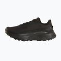 Herren-Laufschuhe Buty The North Face Altamesa 500V2 GTX tnf black/tnf black