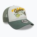 New Era Fruit Graphics Trucker Baseballmütze ST. St. Louis Cardinals grün pastellfarben