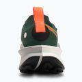 Herren Laufschuhe Nike Zegama 2 Tanne/Wüste Ocker/College Grau/Segel 6