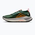 Herren Laufschuhe Nike Zegama 2 Tanne/Wüste Ocker/College Grau/Segel 2