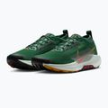 Herren Laufschuhe Nike Pegasus Trail 5 GORE-TEX tanne/hellrot/lehmgrün 7