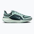 Damen-Laufschuhe Nike Pegasus 41 GORE-TEX cannon/barely green/bleached turq