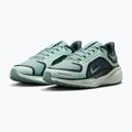 Damen-Laufschuhe Nike Pegasus 41 GORE-TEX cannon/barely green/bleached turq 3