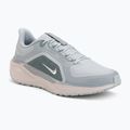 Herren-Laufschuhe Nike Pegasus 41 GTX light pumice/pure platinum/silt red/metal silver