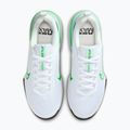 Herren-Trainingsschuhe Nike Air Max Alpha Trainer 6 white/glacier blue/green strike 5