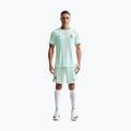 Herren-Fußballtrikot Nike FFF 2026/27 Match Away igloo/monarch/monarch 2