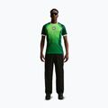 Herren-Fußballtrikot Nike Nigeria 2026 Stadium Home pine green/electric green/white 2