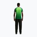 Herren-Fußballtrikot Nike Nigeria 2026 Stadium Home pine green/electric green/white 3