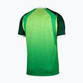 Herren-Fußballtrikot Nike Nigeria 2026 Stadium Home pine green/electric green/white 8