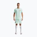 Herren-Fußballshorts Nike FFF 2026 Match Away Aero-FIT igloo/monarch/monarch 2