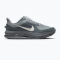 Herren-Laufschuhe Nike Pegasus Premium wolf grey/cool grey/anthracite/sail